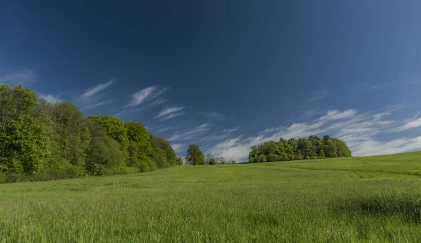 Wiosenny poranek w regionie Varnsdorf - Zdjęcie, obraz