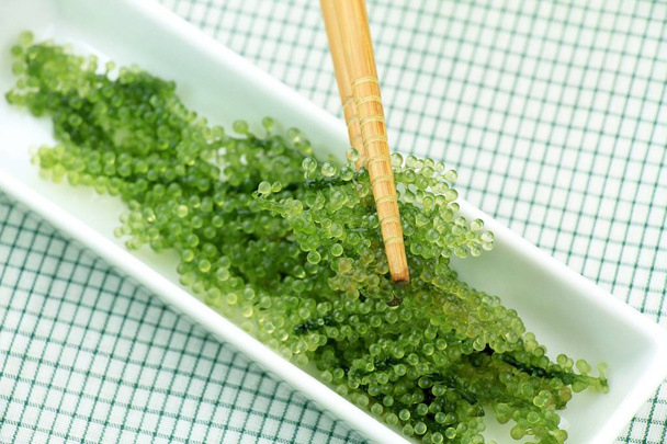 Algensalat, gesunde Meeresfrüchte im Gericht. ovale Trauben Algen - Foto, Bild