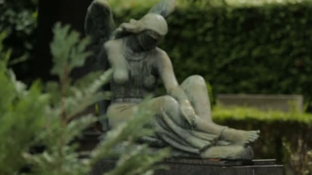 View on beautiful sculpture of sad female angel, statue at Mirogoj cemetery - Felvétel, videó