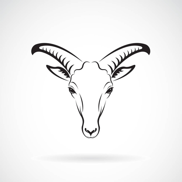 Vector de una cabeza de montaña de cabras sobre fondo blanco. Animales salvajes
 - Vector, imagen