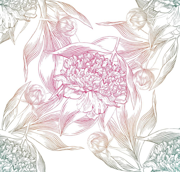 Ilustraciones dibujadas a mano en tinta de peonías ornamentadas, patrón
 - Vector, imagen