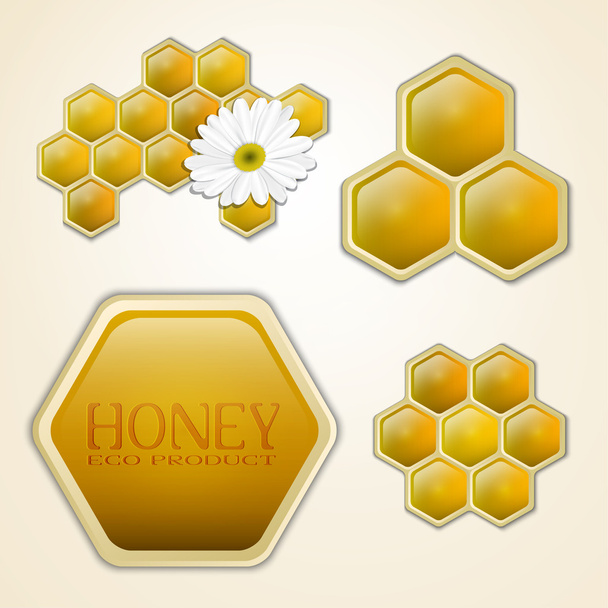Vector honey combs design elements - Vector, Image