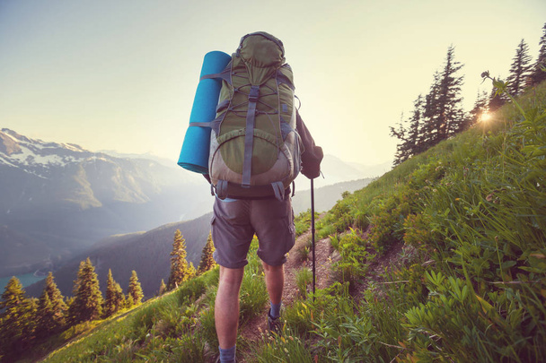 Backpacker w letnich górach - Zdjęcie, obraz