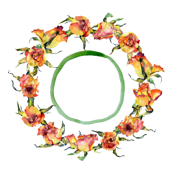 Vegetable, flower wreath of small red roses. Watercolor. Illustration - Foto, Imagem
