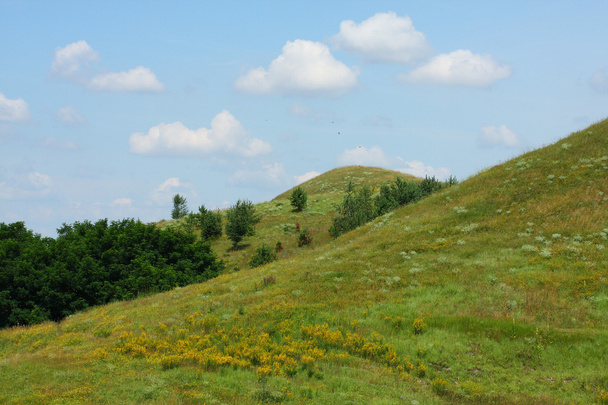 groene heuvels - Foto, afbeelding