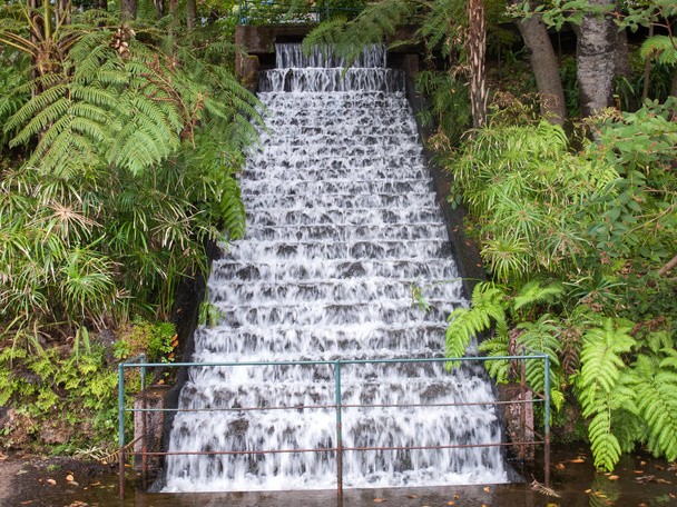  Monte Palace Tropican κήπος σε Φουνκάλ στη Μαδέρα - Φωτογραφία, εικόνα