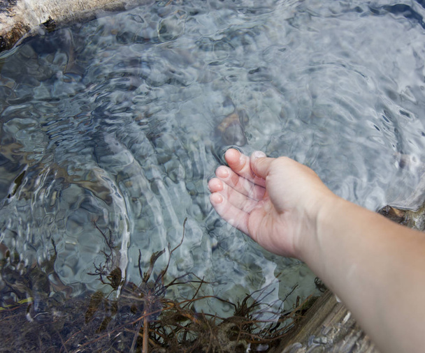 Um riacho transparente. Beber a água à mão
 - Foto, Imagem
