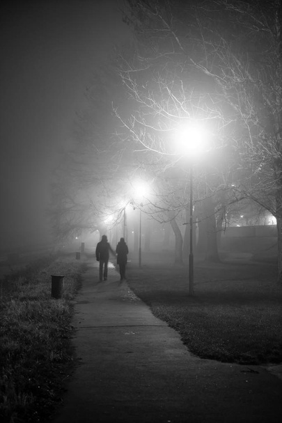 Promenade dans le parc brumeux
 - Photo, image
