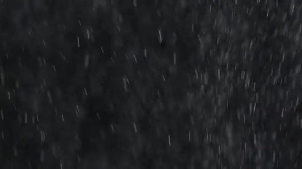 Caduta di pioggia o neve su uno sfondo nero
. - Filmati, video