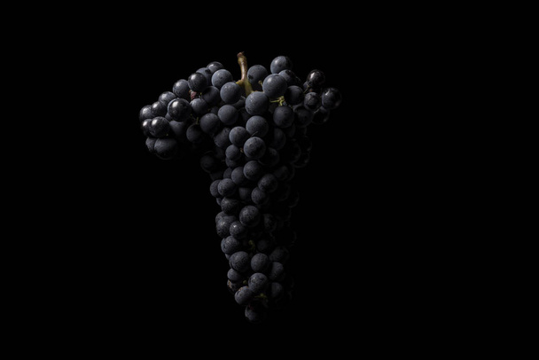 Berries of dark bunch of grape  in low light isolated on black background - Φωτογραφία, εικόνα