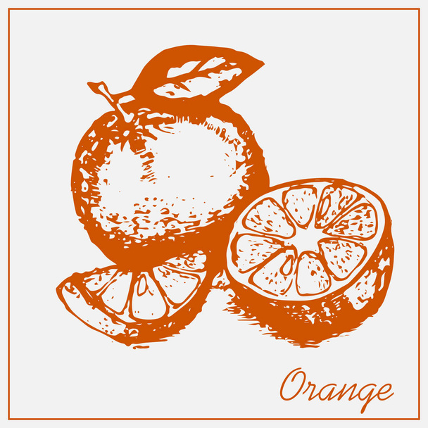 Painted orange isolated on a light background - Vector, Image