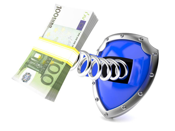 Shield with euro currency - Photo, Image