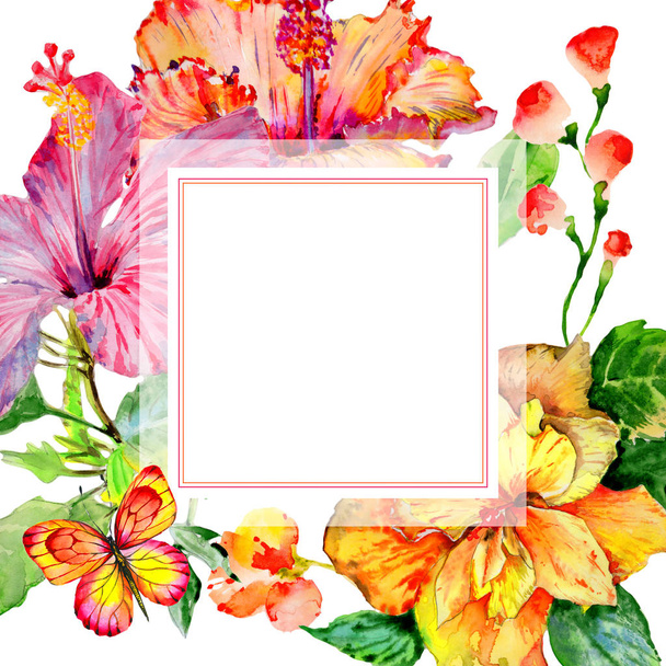 Cadre fleur hibiscus fleur sauvage dans un style aquarelle isolé
. - Photo, image