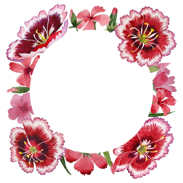 Wildflower carnation flower frame in a watercolor style isolated. - 写真・画像