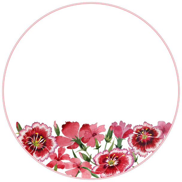 Marco de flores de clavel de flor silvestre en un estilo de acuarela aislado
. - Foto, Imagen
