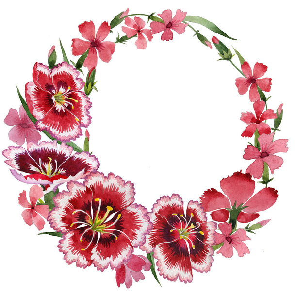 Wildflower carnation flower frame in a watercolor style isolated. - Foto, immagini