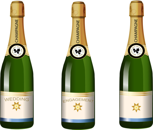 champán - Vector, Imagen