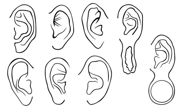 Set of different ears  - Vector, Image