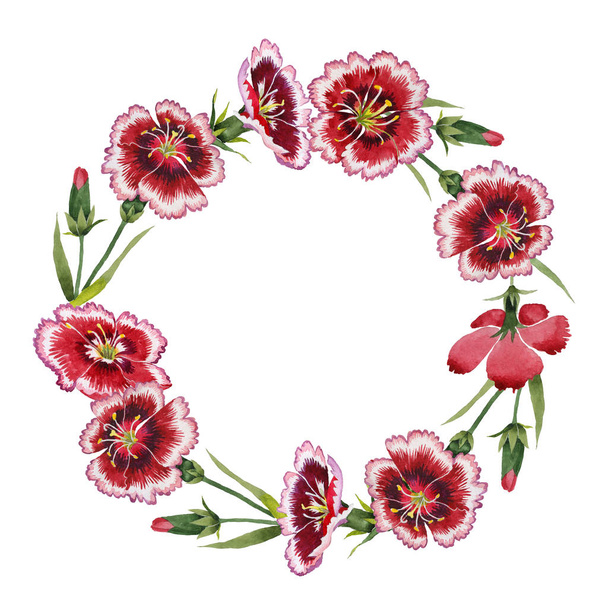 Wildflower carnation flower wreath in a watercolor style isolated. - Fotografie, Obrázek