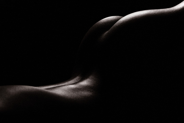 The beautiful lines of the female body - Foto, Imagem