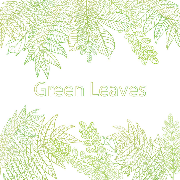 Green leaves background  - Vector, Image