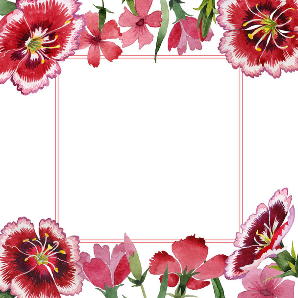 Wildflower carnation flower frame in a watercolor style isolated. - Fotografie, Obrázek