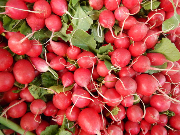 куча красной редьки, продаваемой на рынке
 - Фото, изображение