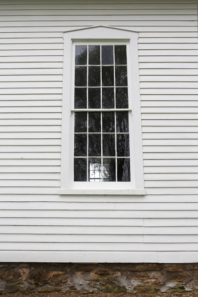 Старые витрины и дерево, сидящие на маленькой грядке
 - Фото, изображение