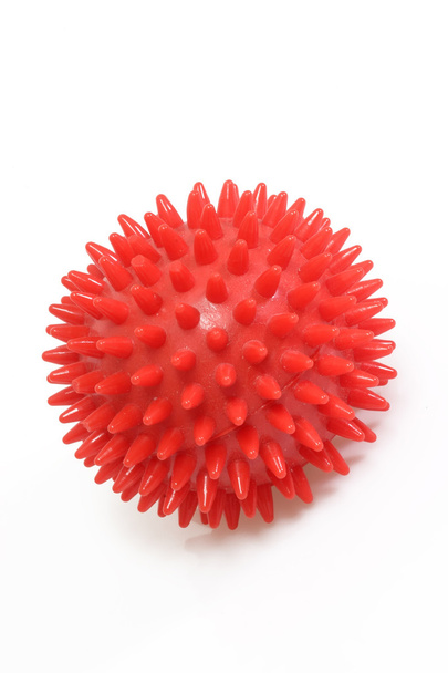Массажный мяч
 - Фото, изображение
