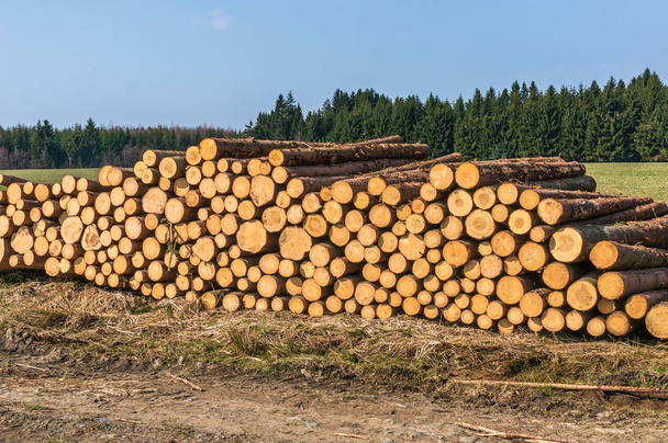 Grumes de bois ou troncs d'arbres coupés et empilés sur le sol
 - Photo, image