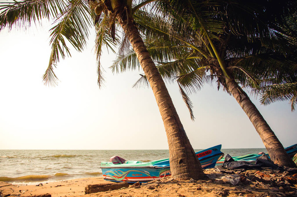 Blue speedboats under palm treas on a sandy beach in Negombo, Sr - Photo, Image