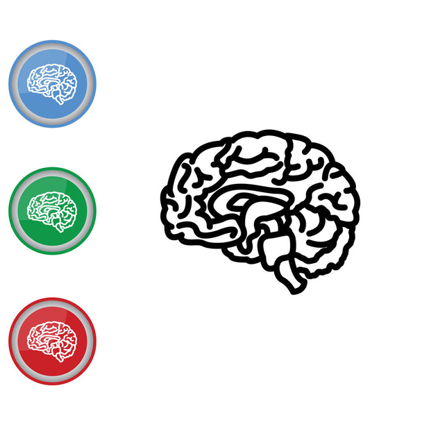 Human brain web line icon. - Vector, Image