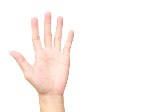 Hand palms on white background with clipping path - Photo, Image