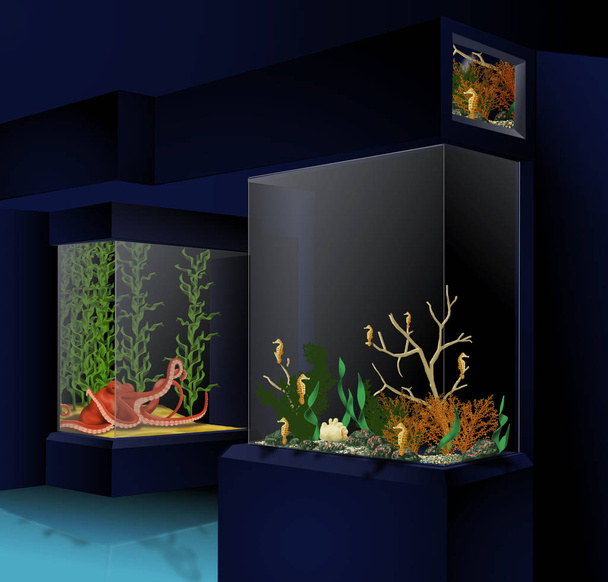 Восьминіг експонатів Морський коник
 - Фото, зображення