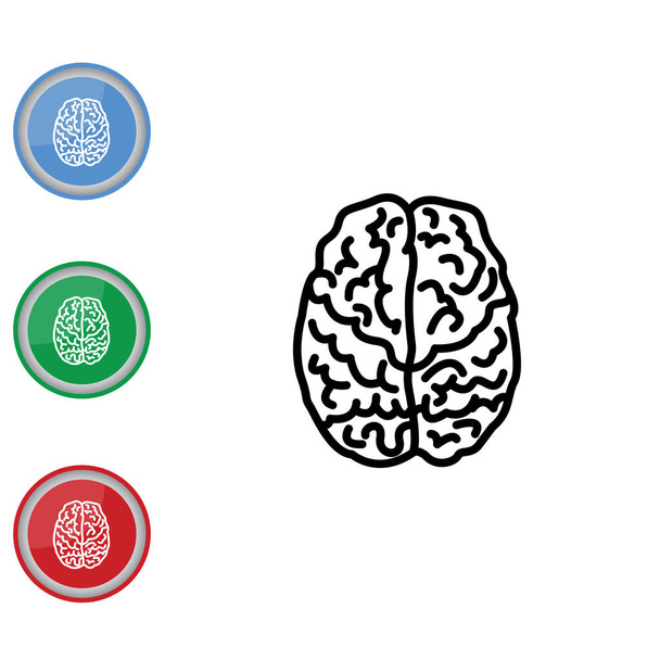 Human brain web line icon. - Vector, Image