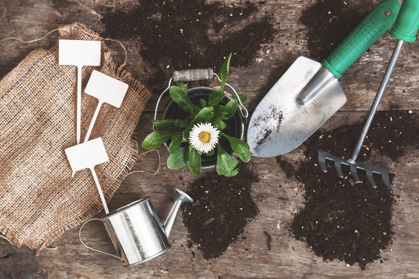 Garden tool, shovel, rake, watering can, bucket, tablets for pla - Fotó, kép