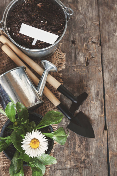 Garden tool, shovel, rake, watering can, bucket, tablets for pla - Φωτογραφία, εικόνα
