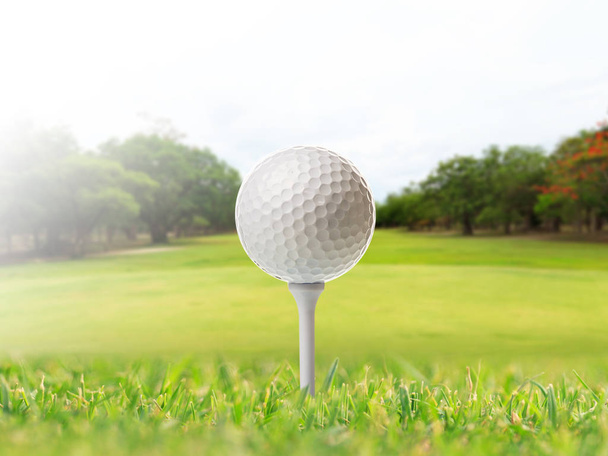 Balle de golf sur tee dans le terrain de golf
 - Photo, image