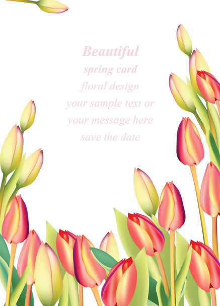 Red tulip flowers Spring season invitation background. Vector illustration - Vector, Image