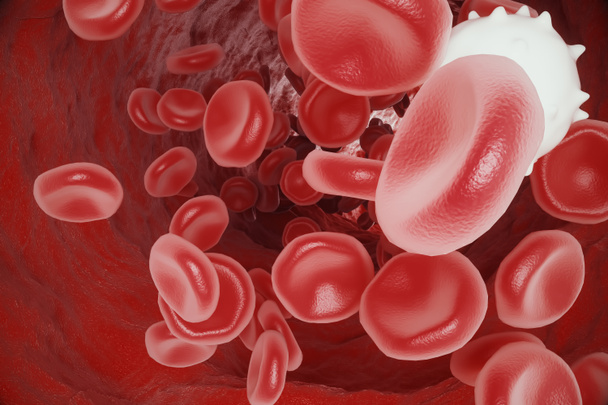 weiße Blutkörperchen zwischen roten Blutkörperchen, Durchflussarterie oder Vene, 3D-Rendering - Foto, Bild