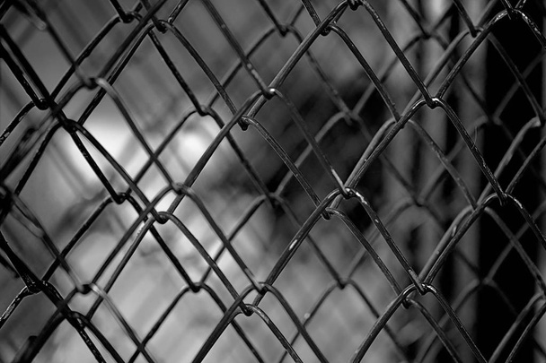 A fence made of wire. black and white background. - Photo, Image