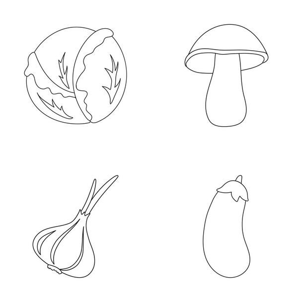 Cabbage white, mushroom forest, garlic useful, eggplant. Vegetables set collection icons in outline style vector symbol stock illustration web. - Vettoriali, immagini