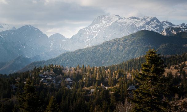 Krásná příroda v Velika Planina - Fotografie, Obrázek