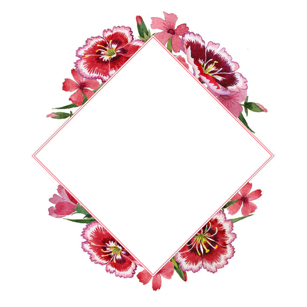Wildflower carnation flower frame in a watercolor style isolated. - Photo, Image