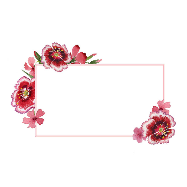 Wildflower carnation flower frame in a watercolor style isolated. - Fotografie, Obrázek