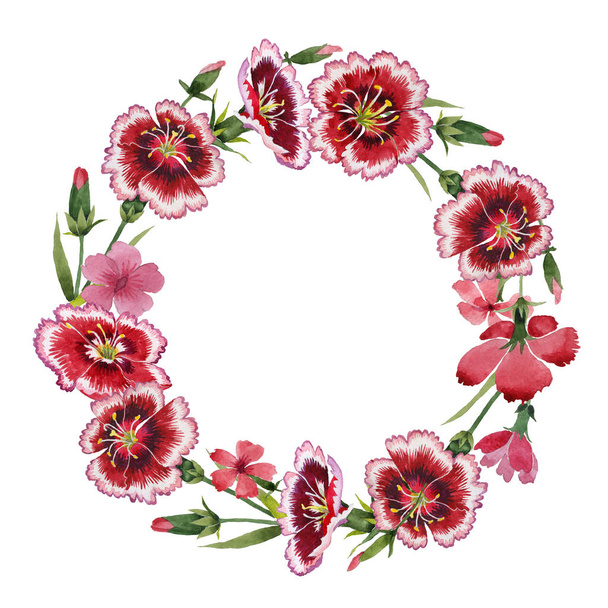 Wildflower carnation flower wreath in a watercolor style isolated. - Foto, Bild
