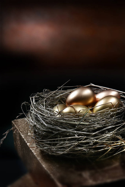 Zlaté Pension Nest - Fotografie, Obrázek