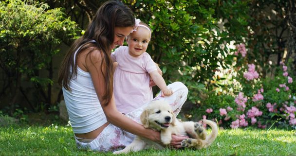 On a sunny spring day a little girl dressed as a ballerina plays with her mom and Golden Retriever puppy in the garden and everyone smiles like a happy family in slow motion - Φωτογραφία, εικόνα