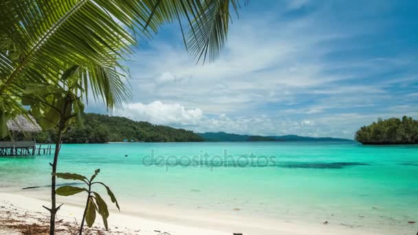 Hermosa laguna azul con palmera en frente, Gam Island, Papúa Occidental, Raja Ampat, Indonesia
 - Metraje, vídeo