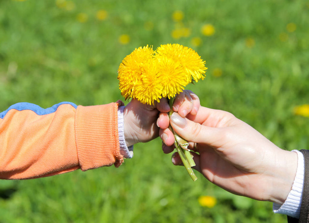 Woman's hand giving little yellow flower to child - Valokuva, kuva